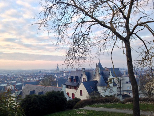 A beautiful view of Saumur's Centre Ville from a park near the town chateau.