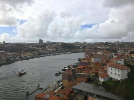 I hope to return to Porto soon, and hopefully more places in Portugal.